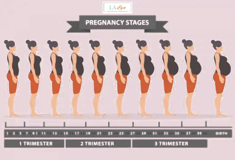 First Trimester (Weeks 1–12): Early Changes You Might Not Notice South Shields